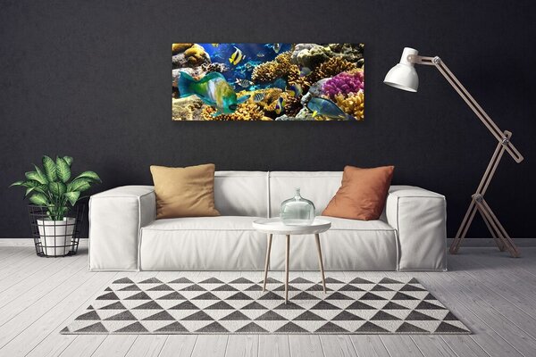 Obraz na plátne Koralový útes príroda 125x50 cm