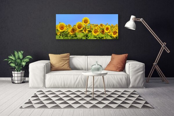 Obraz na plátne Slnečnica kvet rastlina 125x50 cm