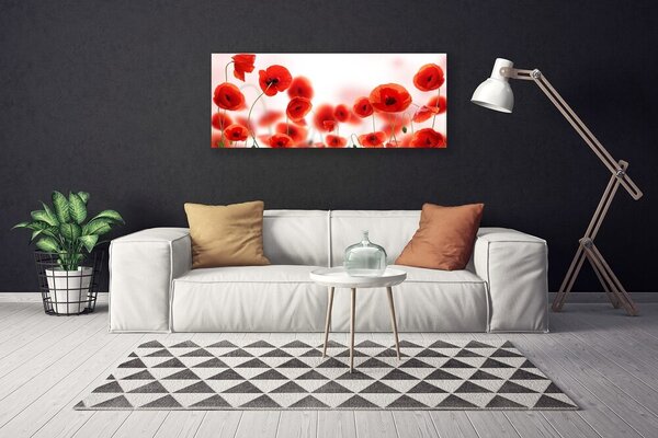 Obraz na plátne Maky rastlina príroda 125x50 cm