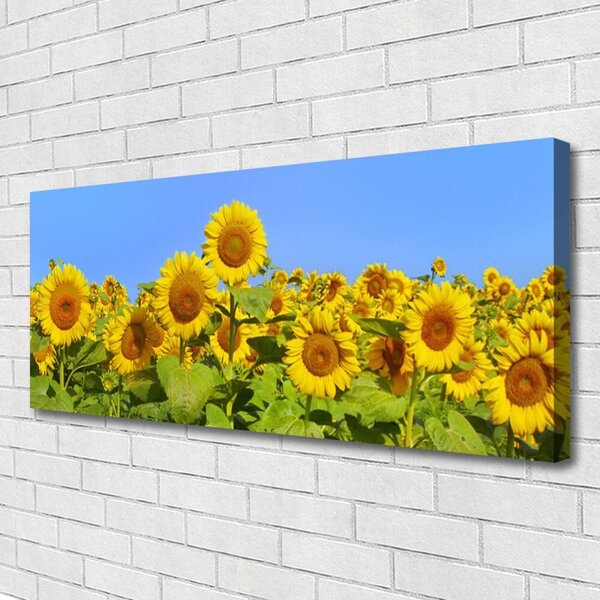 Obraz na plátne Slnečnica kvet rastlina 125x50 cm