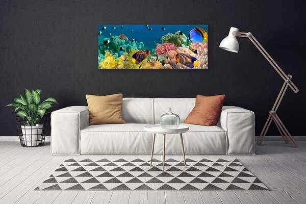 Obraz na plátne Koralový útes príroda 125x50 cm