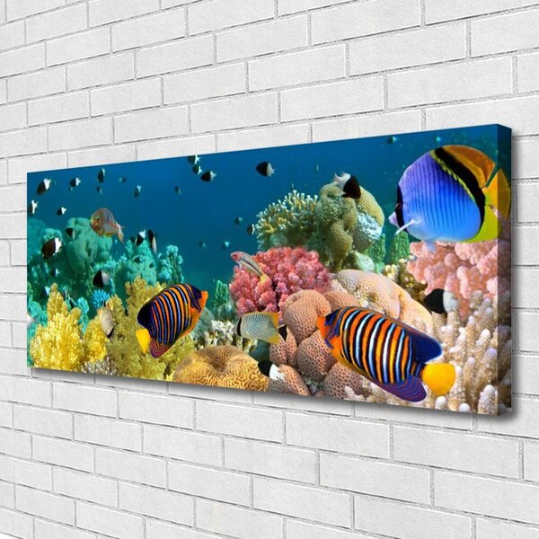 Obraz na plátne Koralový útes príroda 125x50 cm