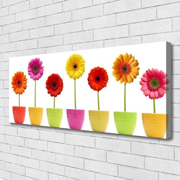 Obraz Canvas Kvety rastlina príroda 125x50 cm
