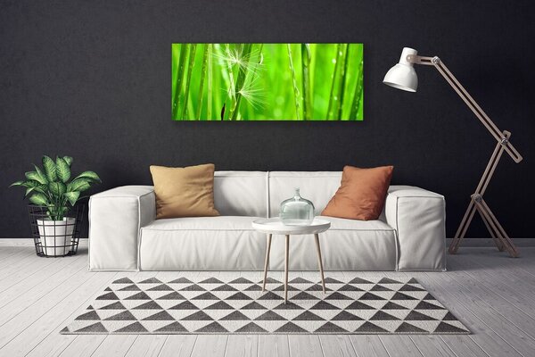 Obraz na plátne Tráva rastlina príroda 125x50 cm