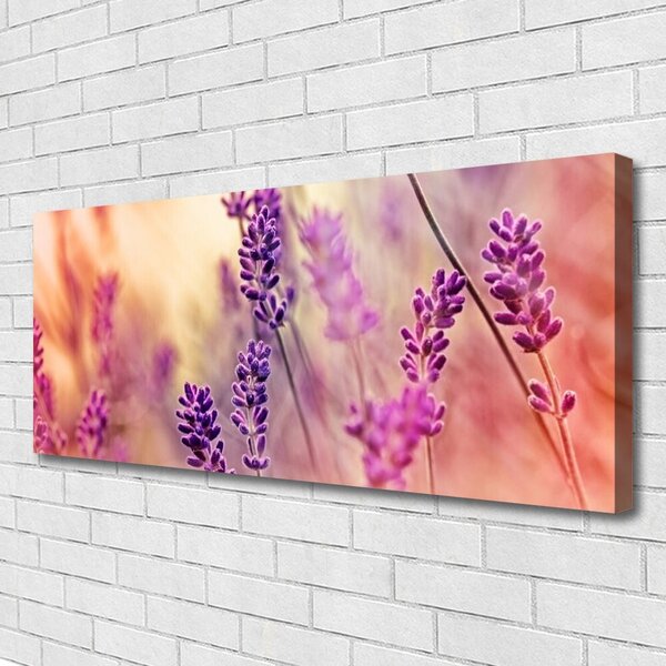 Obraz Canvas Kvety rastlina príroda 125x50 cm