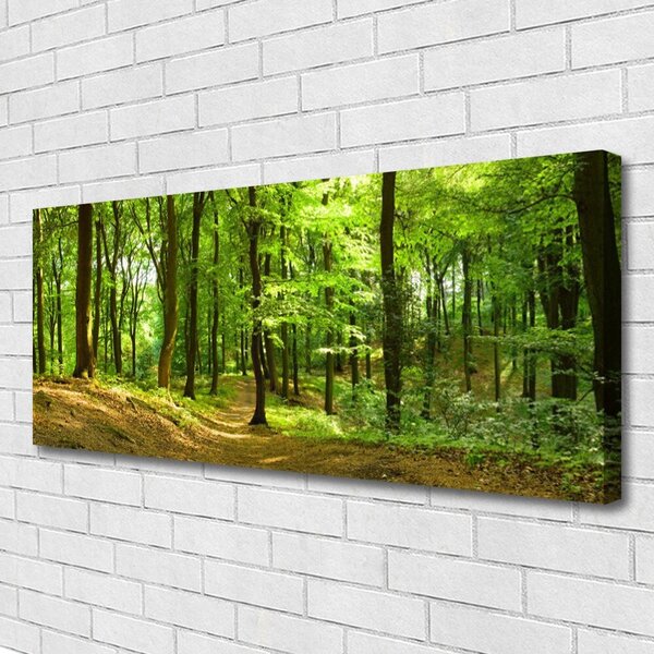 Obraz na plátne Les príroda 125x50 cm