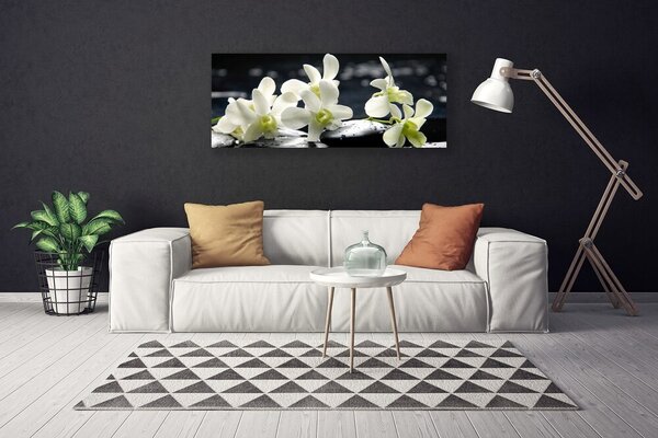 Obraz Canvas Kvet kamene rastlina 125x50 cm