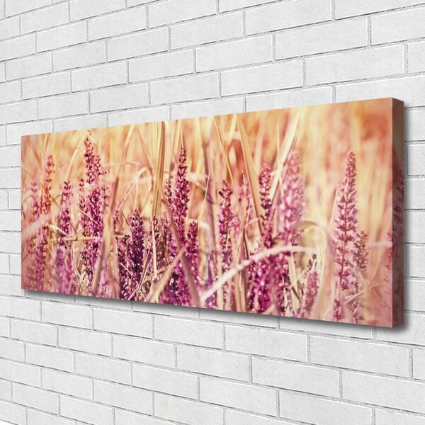 Obraz Canvas Pšenica rastlina príroda 125x50 cm