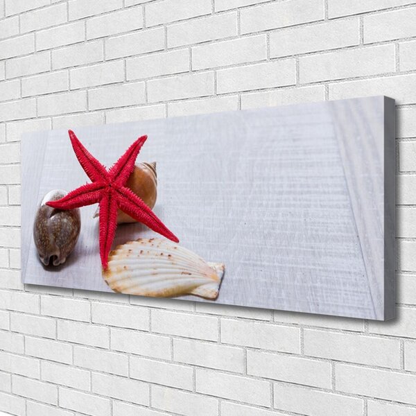 Obraz Canvas Hviezdice mušle umenie 125x50 cm