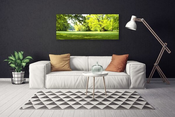 Obraz Canvas Tráva stromy park príroda 125x50 cm