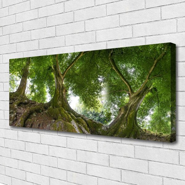 Obraz Canvas Stromy rastlina príroda 125x50 cm