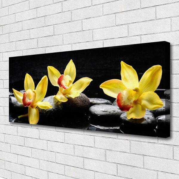 Obraz Canvas Kvet kamene rastlina 125x50 cm