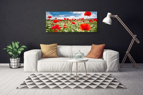 Obraz Canvas Lúka kvety príroda 125x50 cm