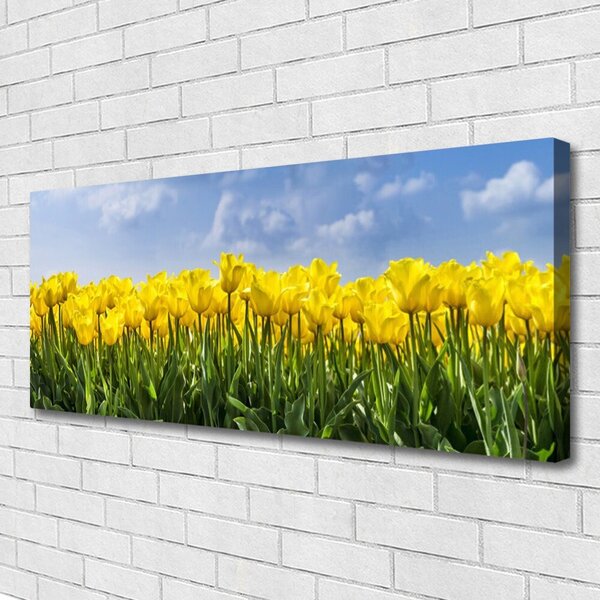 Obraz Canvas Tulipány kvety rastlina 125x50 cm