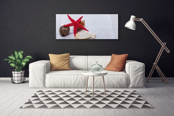 Obraz Canvas Hviezdice mušle umenie 125x50 cm