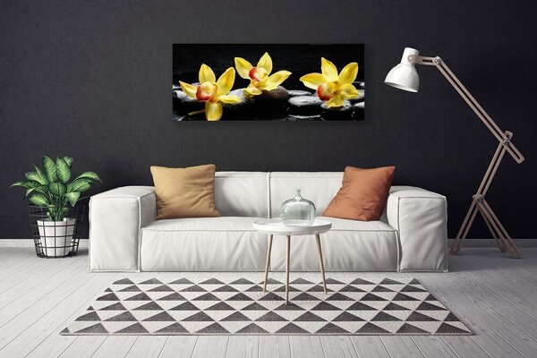 Obraz Canvas Kvet kamene rastlina 125x50 cm