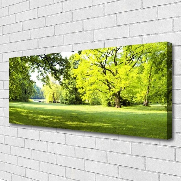 Obraz Canvas Tráva stromy park príroda 125x50 cm