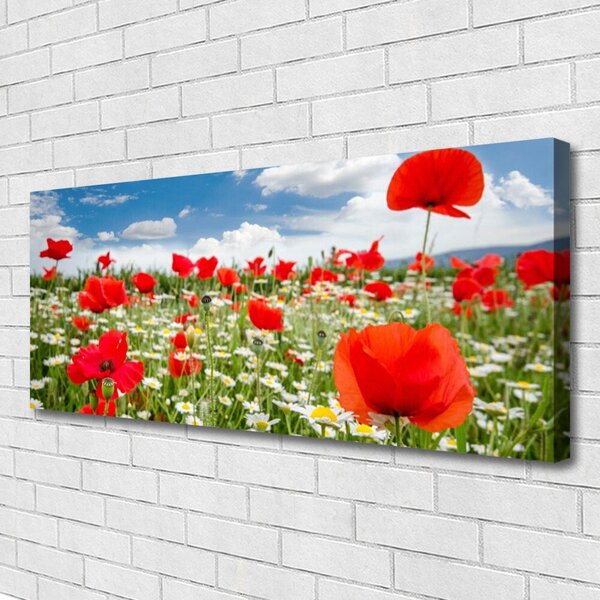 Obraz Canvas Lúka kvety príroda 125x50 cm