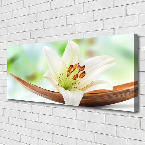 Obraz Canvas Kvet rastlina príroda 125x50 cm