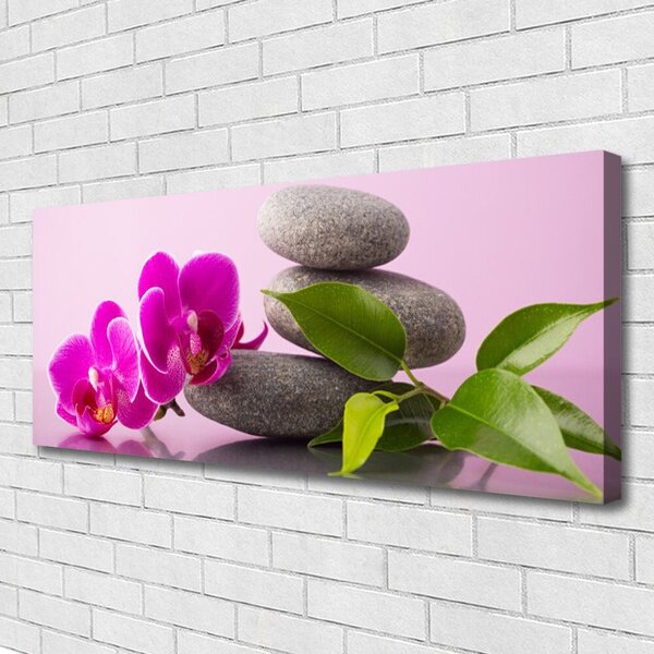Obraz Canvas Kvet kamene zen rastlina 125x50 cm