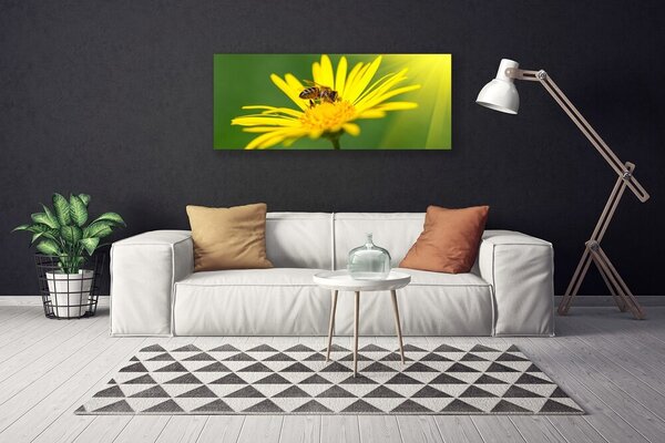 Obraz Canvas Osa kvet rastlina príroda 125x50 cm
