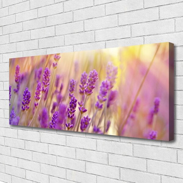 Obraz Canvas Kvety rastlina príroda 125x50 cm