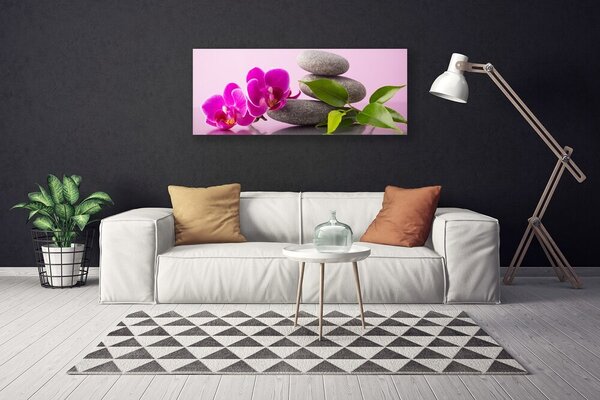 Obraz Canvas Kvet kamene zen rastlina 125x50 cm
