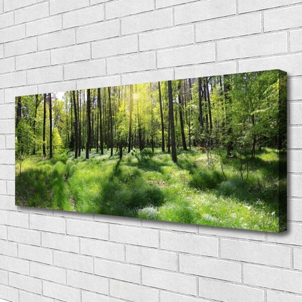 Obraz Canvas Les tráva rastlina príroda 125x50 cm