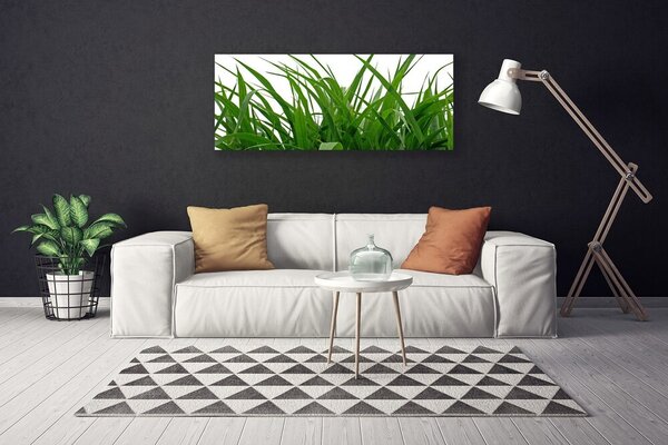 Obraz Canvas Tráva rastlina príroda 125x50 cm