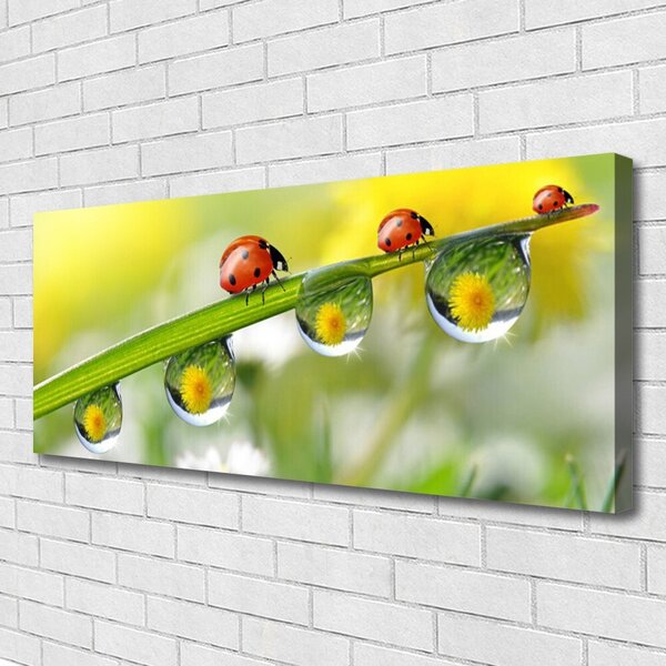 Obraz Canvas List lienky príroda 125x50 cm