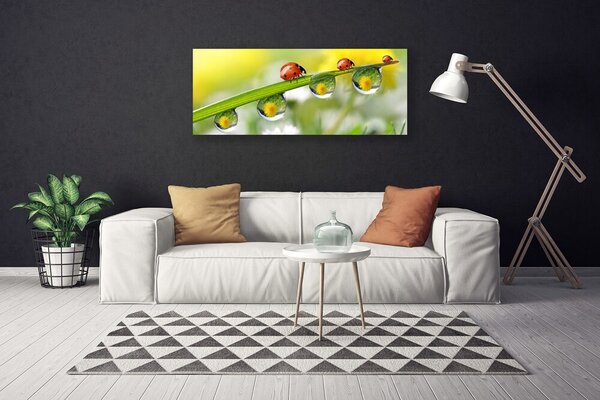 Obraz Canvas List lienky príroda 125x50 cm