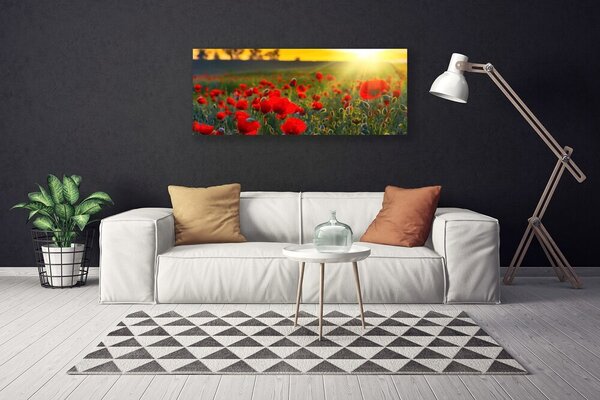 Obraz Canvas Lúka maky rastlina príroda 125x50 cm