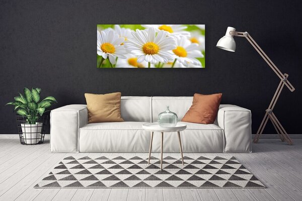 Obraz Canvas Sedmokrásky rastlina príroda 125x50 cm