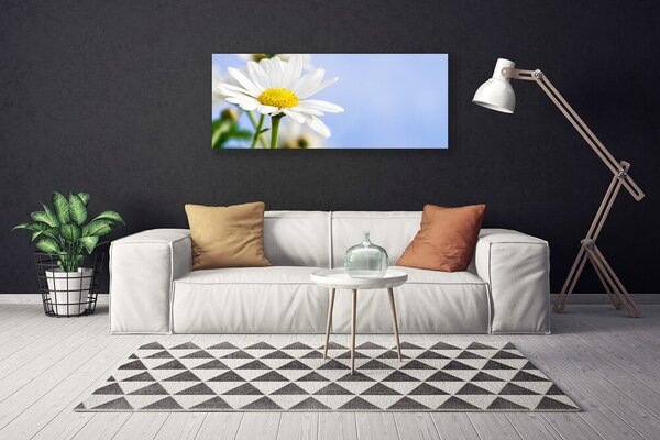 Obraz Canvas Sedmokráska rastlina príroda 125x50 cm