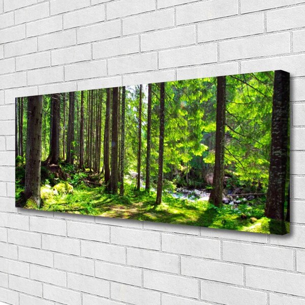 Obraz Canvas Les stromy rastlina príroda 125x50 cm