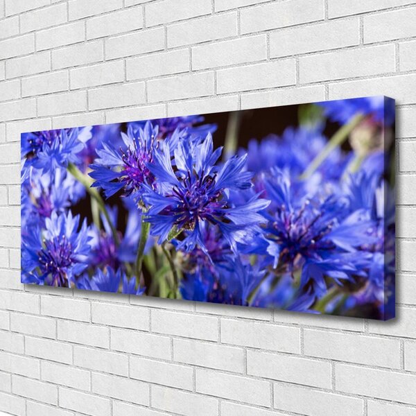 Obraz Canvas Kvety rastlina príroda 125x50 cm