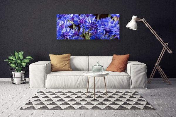 Obraz Canvas Kvety rastlina príroda 125x50 cm