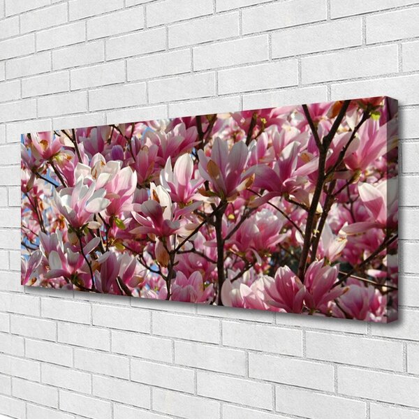 Obraz Canvas Vetvy kvety rastlina 125x50 cm