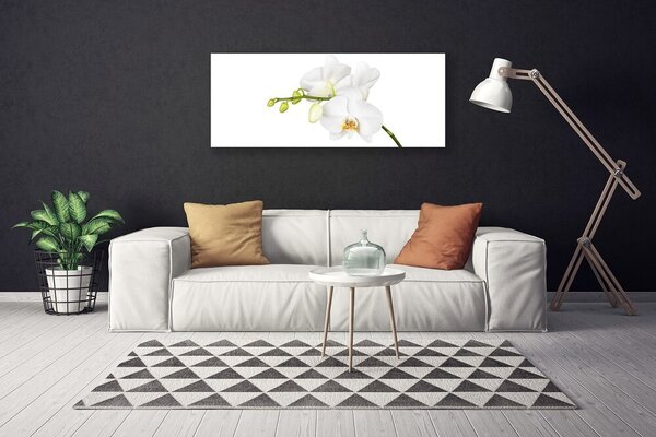Obraz Canvas Orchidea kvety príroda 125x50 cm