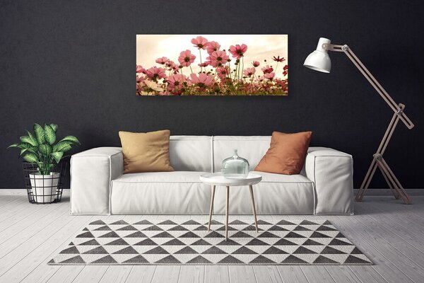 Obraz Canvas Poľné kvety lúka príroda 125x50 cm
