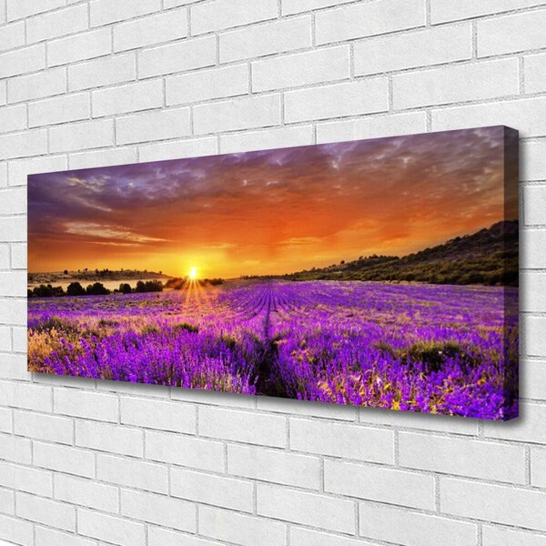 Obraz Canvas Západ slnka pole levanduľa 125x50 cm