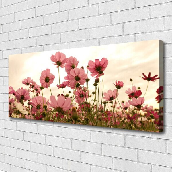 Obraz Canvas Poľné kvety lúka príroda 125x50 cm