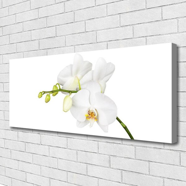 Obraz Canvas Orchidea kvety príroda 125x50 cm