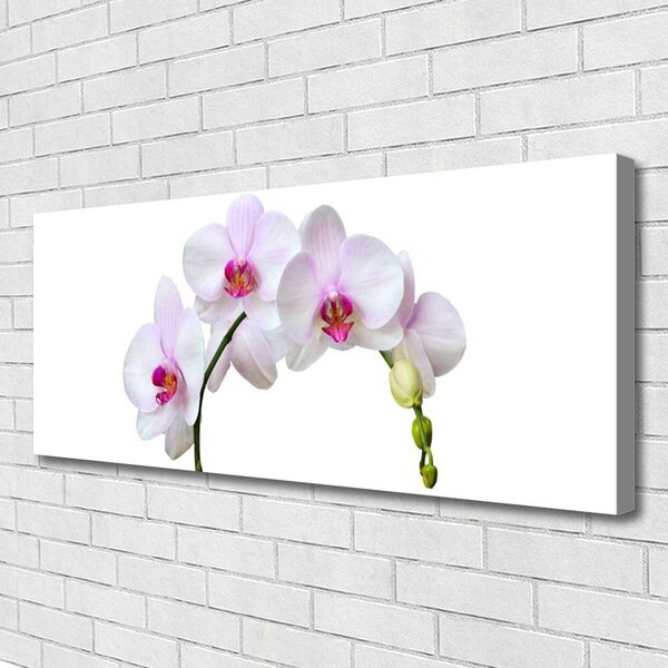 Obraz Canvas Vstavač orchidea kvety 125x50 cm