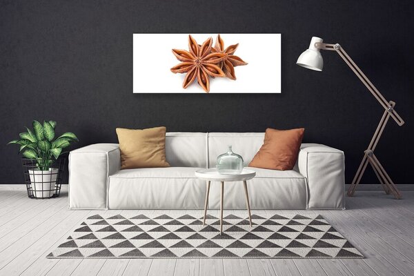 Obraz Canvas Aníz hviezda príprava 125x50 cm