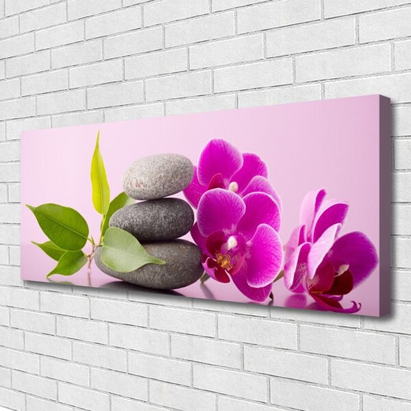 Obraz Canvas Orchidea vstavač kamene 125x50 cm