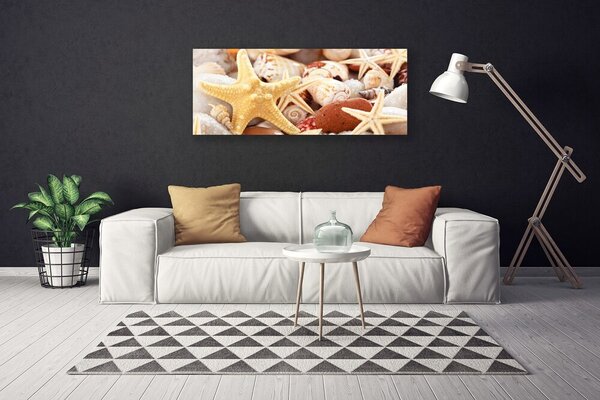 Obraz Canvas Hviezdice mušle pláž 125x50 cm
