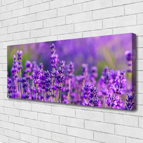Obraz Canvas Pole fialová levanduľa 125x50 cm