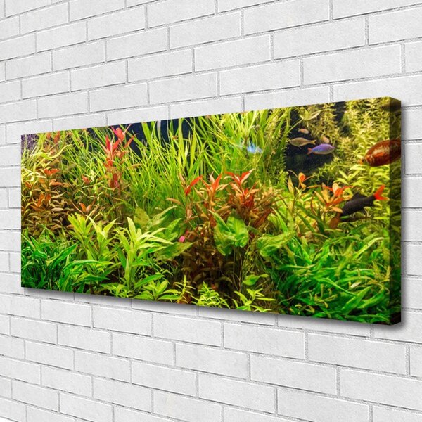 Obraz Canvas Akvárium rybičky rastliny 125x50 cm