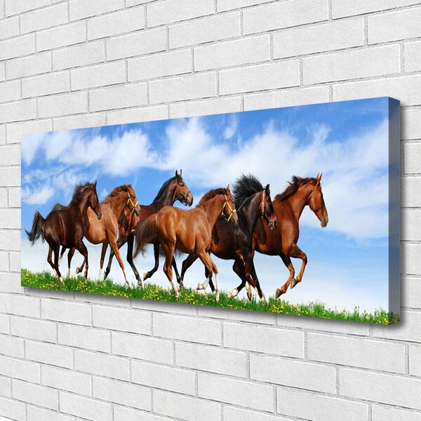 Obraz Canvas Cválajúci kone na pastvine 125x50 cm